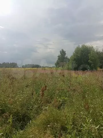 Участок 17,3 сот. (ИЖС) - Фото 0