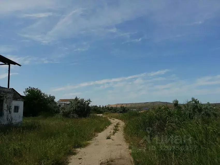 Помещение свободного назначения в Крым, Керчь ул. Целимберная, 8А ... - Фото 1