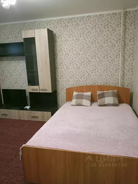 1-к кв. Воронежская область, Борисоглебск ул. Чкалова, 26 (30.0 м) - Фото 2