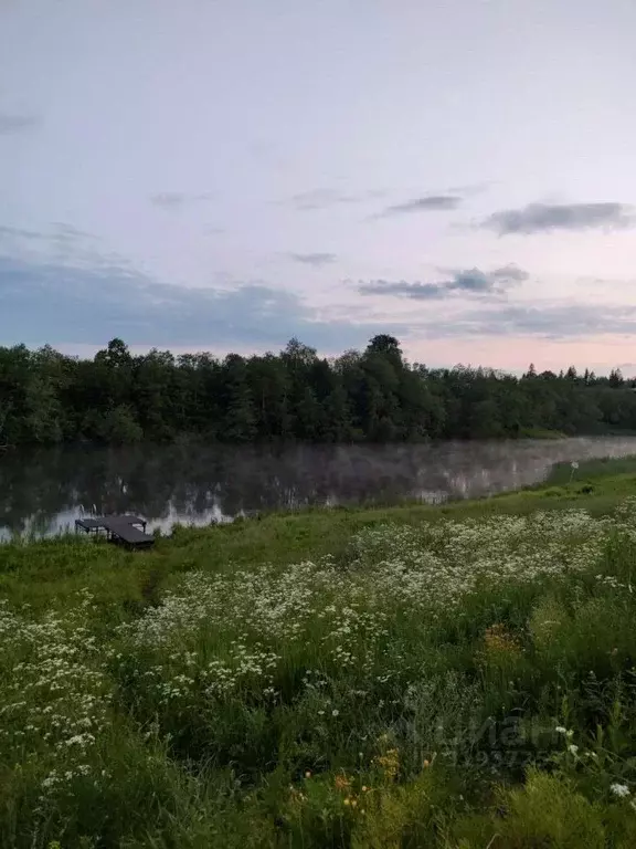 Участок в Московская область, Истра муниципальный округ, д. Малое ... - Фото 1
