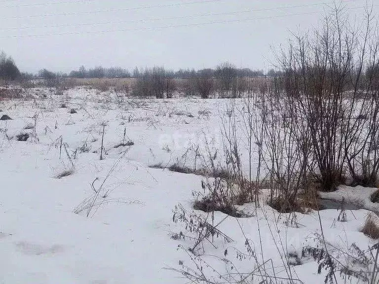 Участок в Ярославская область, Ярославский район, Кузнечихинское ... - Фото 1