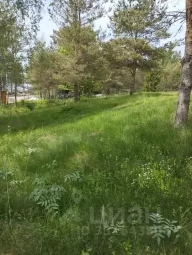 Участок в Ленинградская область, Выборгский район, Полянское с/пос, ... - Фото 1