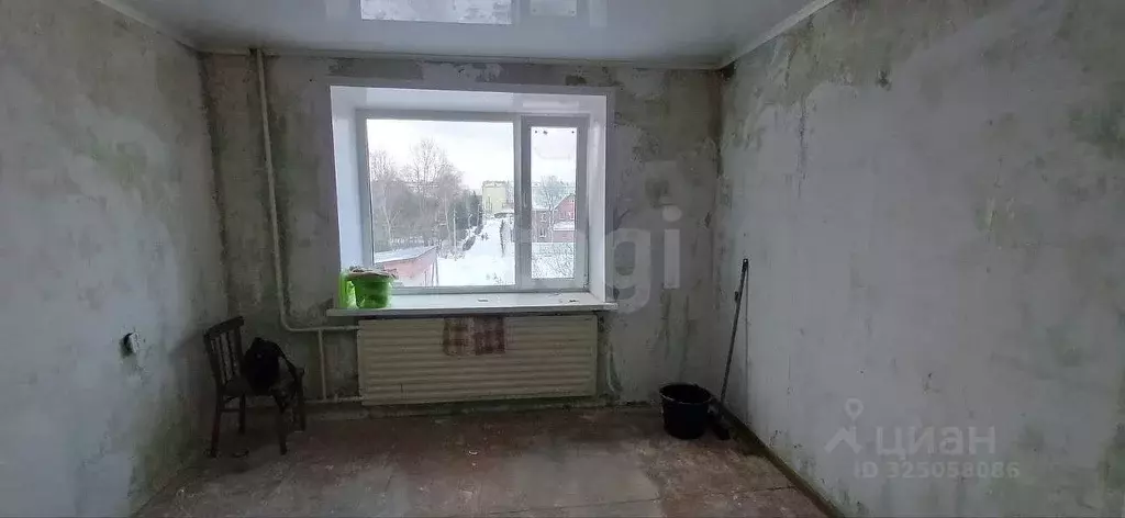 Комната Вологодская область, Шексна рп, Шексна Северная мкр ул. ... - Фото 1