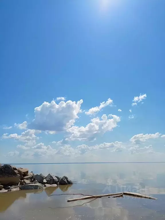 Участок в Новосибирская область, Новосибирский район, Морской ... - Фото 1