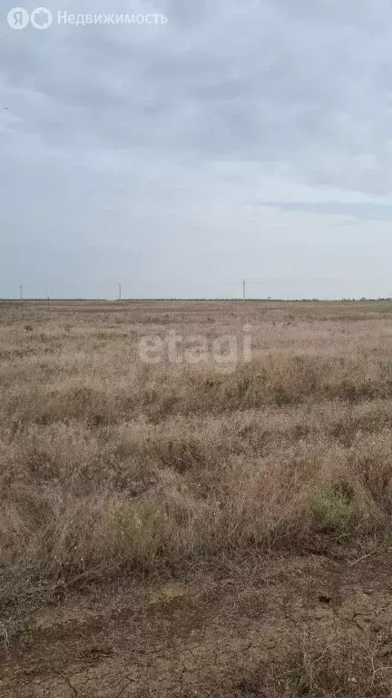 Участок в село Витино, улица Гагарина (6 м) - Фото 1