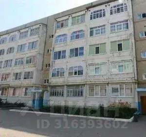 1-к кв. Башкортостан, Янаул ул. Ленина, 26 (39.6 м) - Фото 0
