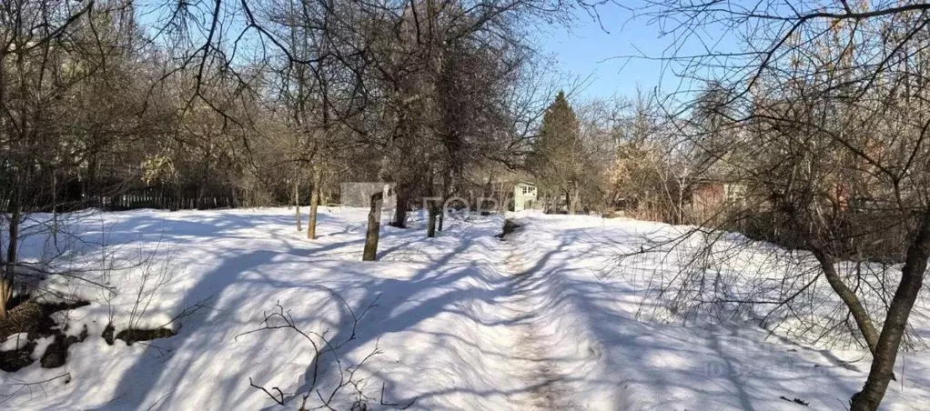 Участок в Московская область, Химки Подрезково мкр, Филино кв-л, 119 ... - Фото 1