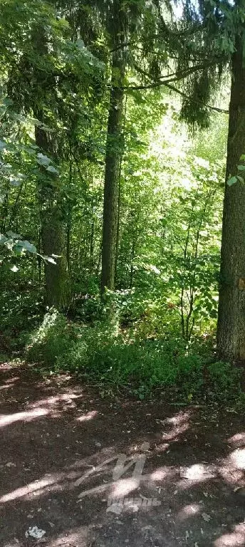 Продается участок в г. Химки - Фото 2