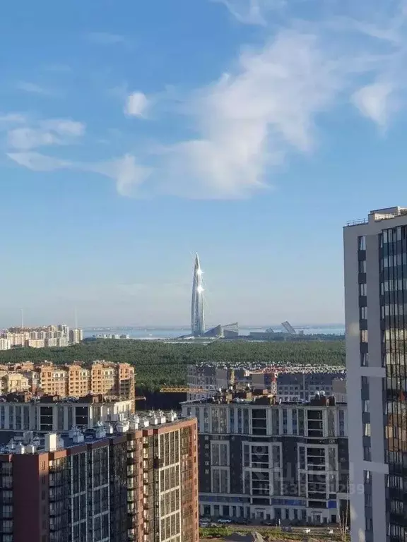 1-к кв. Санкт-Петербург ул. Верхне-Каменская, 9к1 (30.1 м) - Фото 2