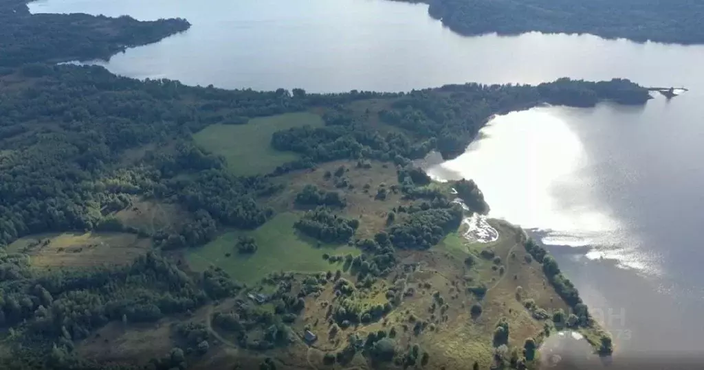 Участок в Тверская область, Осташковский городской округ, д. Городок  ... - Фото 1