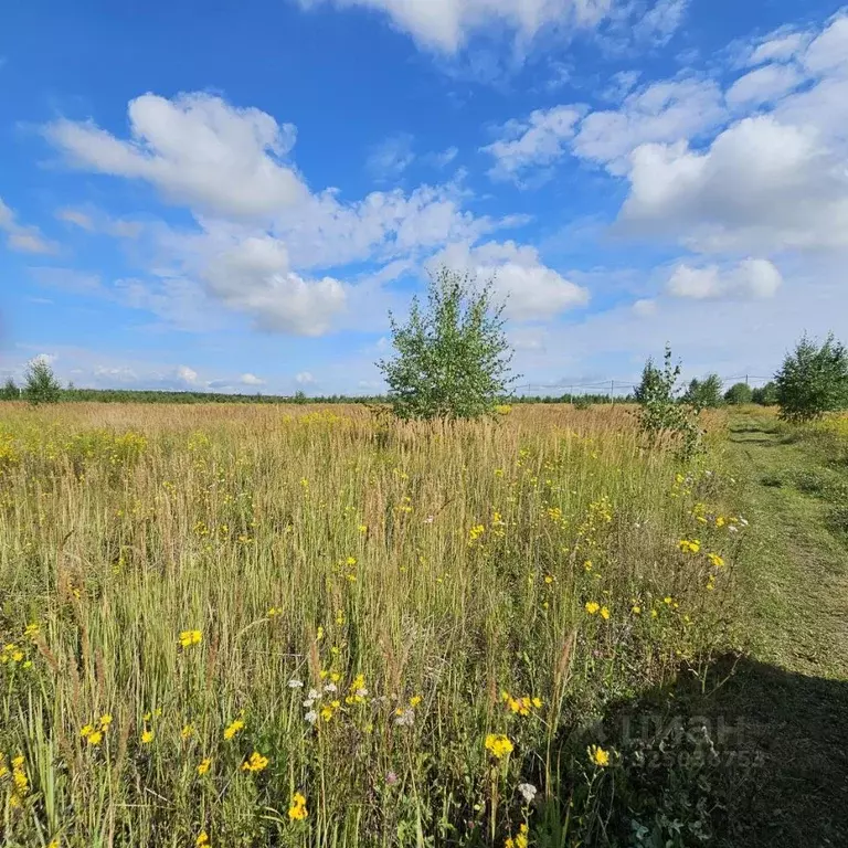 Участок в Московская область, Луховицы муниципальный округ, пос. ... - Фото 2