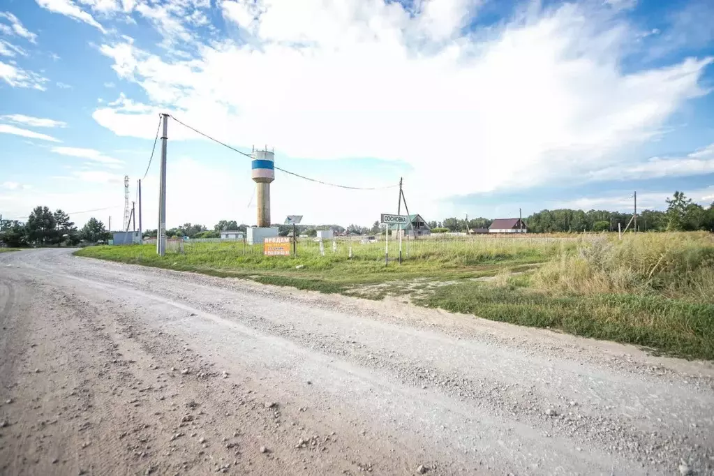 Участок в Новосибирская область, Новосибирский район, Кубовинский ... - Фото 1