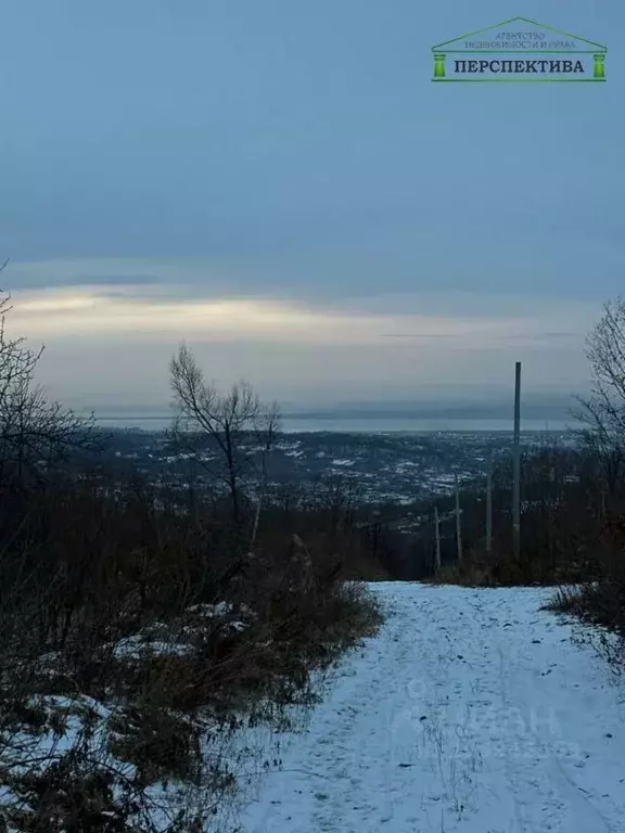 Участок в Приморский край, Артем Василек СНТ, 203 (10.0 сот.) - Фото 0