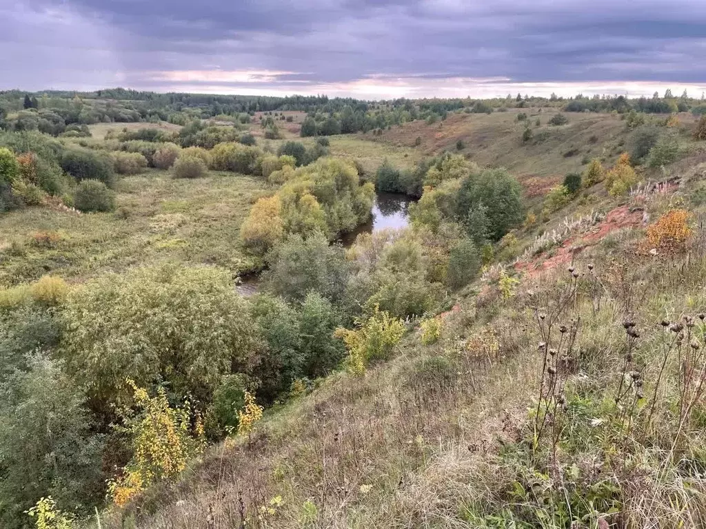 Участок в Архангельская область, Котласский муниципальный округ, д. ... - Фото 1