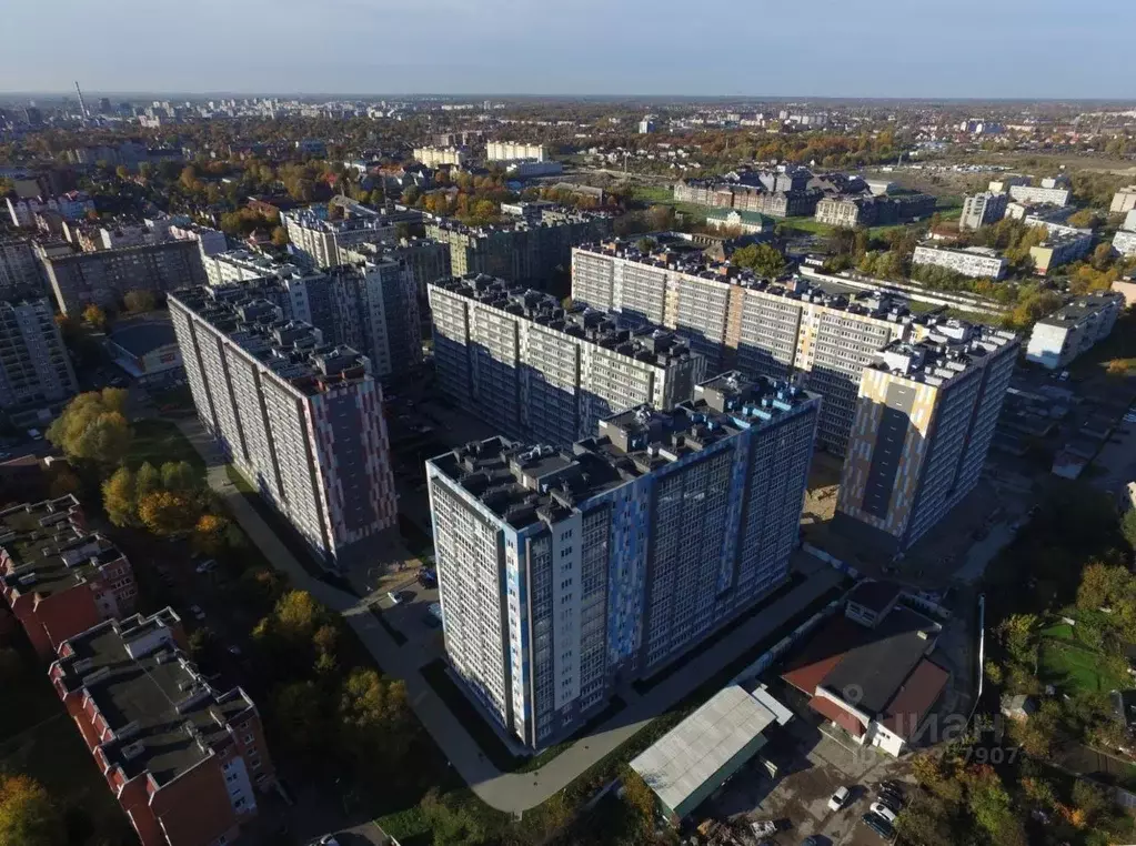 2-к кв. Калининградская область, Калининград ул. Старшины Дадаева, 71 ... - Фото 2