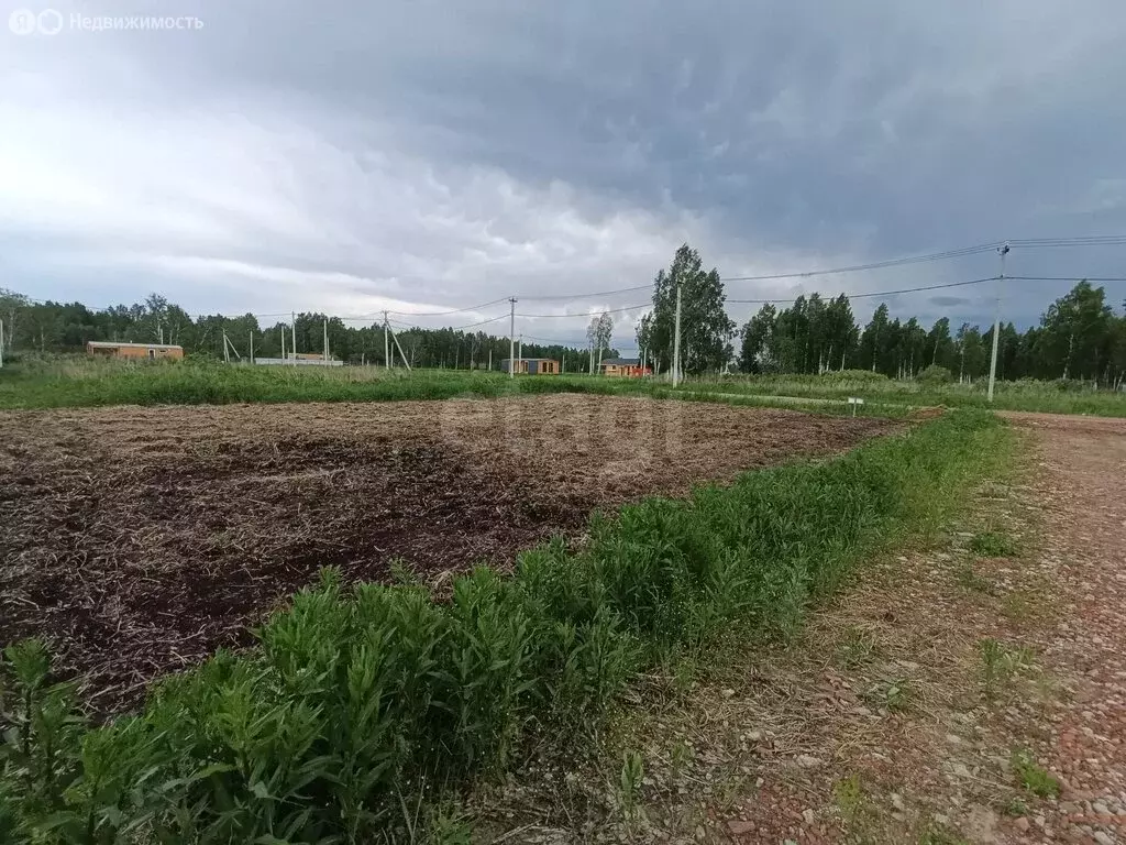 Участок в Тюменская область, Нижнетавдинский муниципальный округ, ... - Фото 2