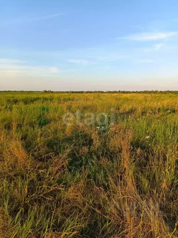 Участок в Адыгея, Майкоп городской округ, Гавердовский хут.  (4.2 ... - Фото 0