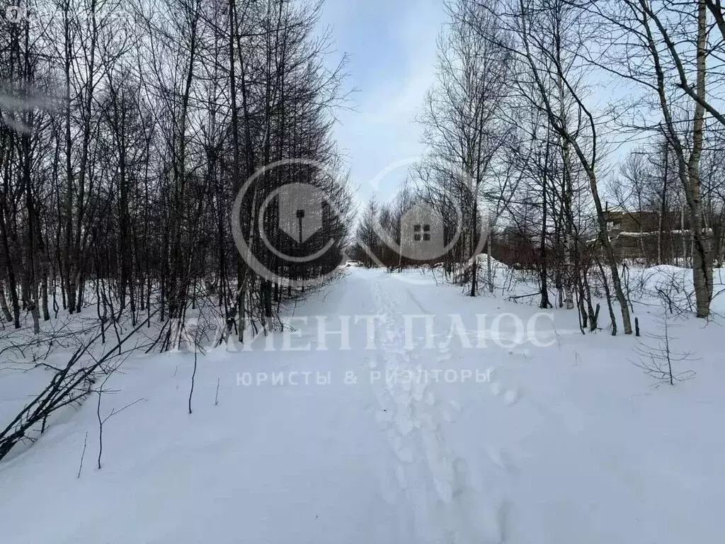 Участок в село Дачное, Шоссейная улица (10 м) - Фото 2