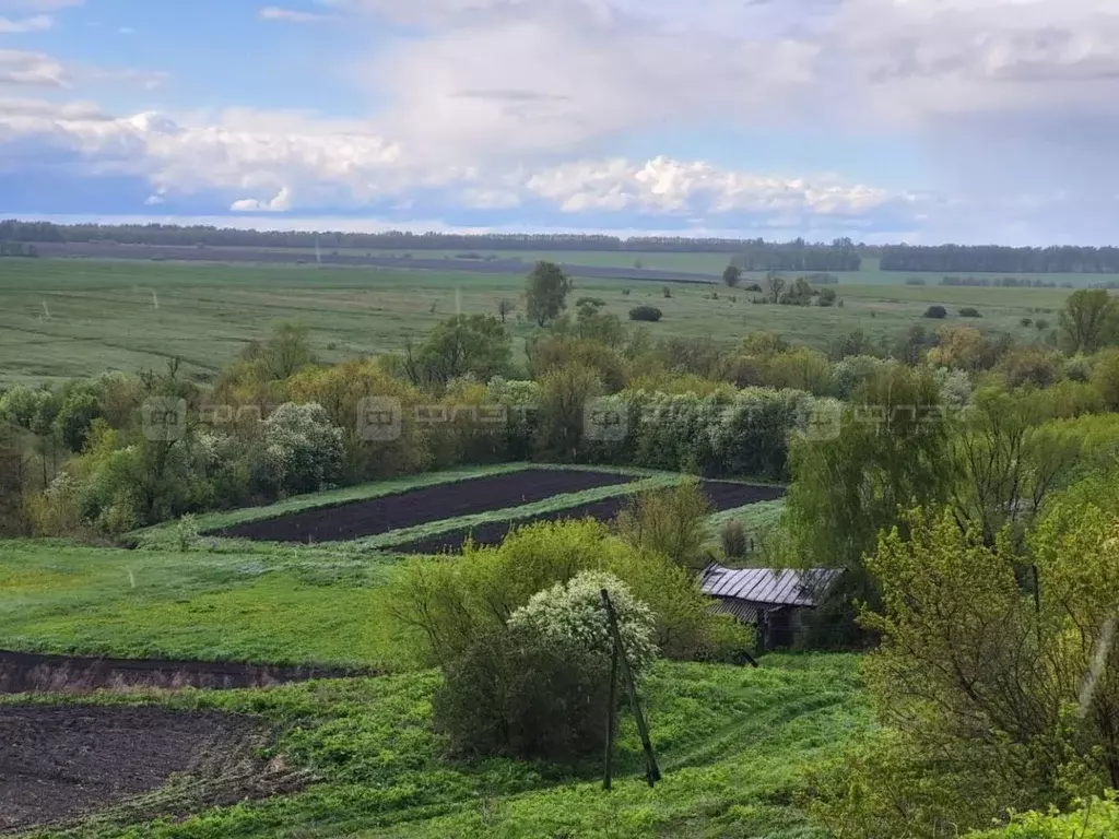 Участок в Татарстан, Тетюшский район, Федоровское с/пос, с. Удельное ... - Фото 2
