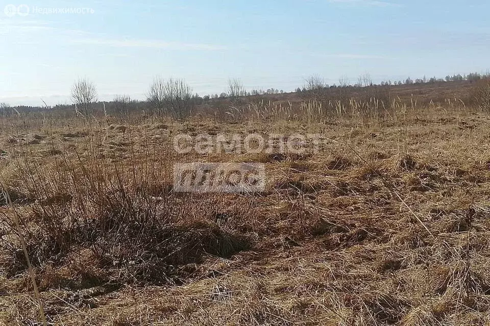 Участок в Курский район, Моковский сельсовет, СНТ Золотая Осень (10 м) - Фото 0