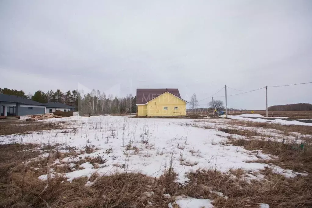 Участок в Тюменская область, Тюменский район, с. Кулига, Сказка кп  ... - Фото 0