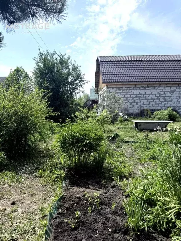 Участок в Новосибирская область, Новосибирский район, Толмачевский ... - Фото 2