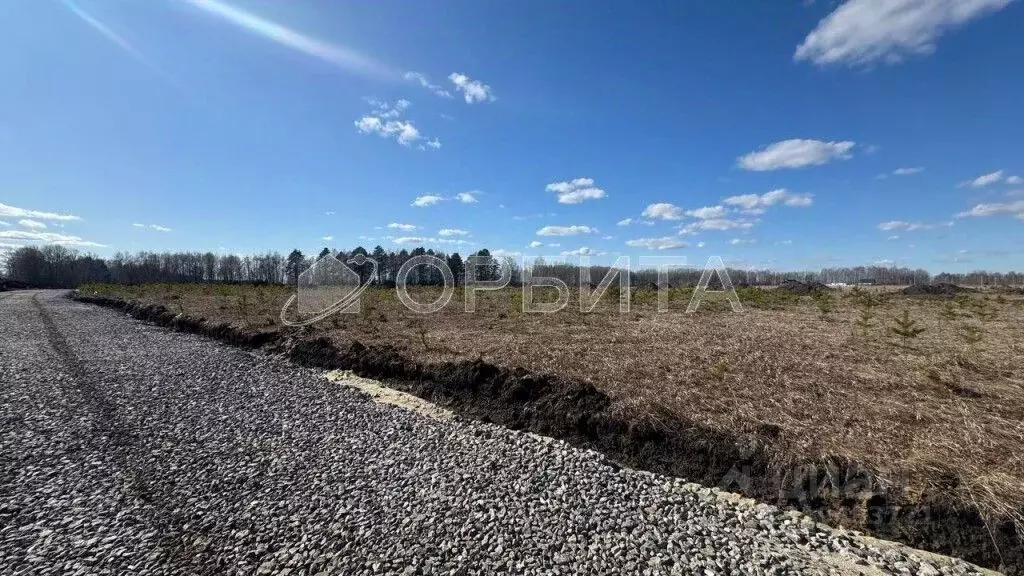 Участок в Тюменская область, Вагайский район, д. Елань Еланская ул., 5 ... - Фото 0