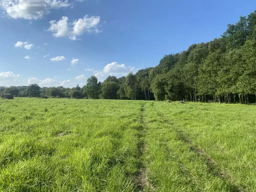 Участок в Калининградская область, Гурьевский муниципальный округ, ... - Фото 1