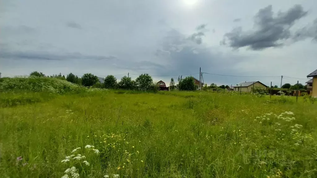 Участок в Новгородская область, Новгородский район, Савинское с/пос, ... - Фото 0