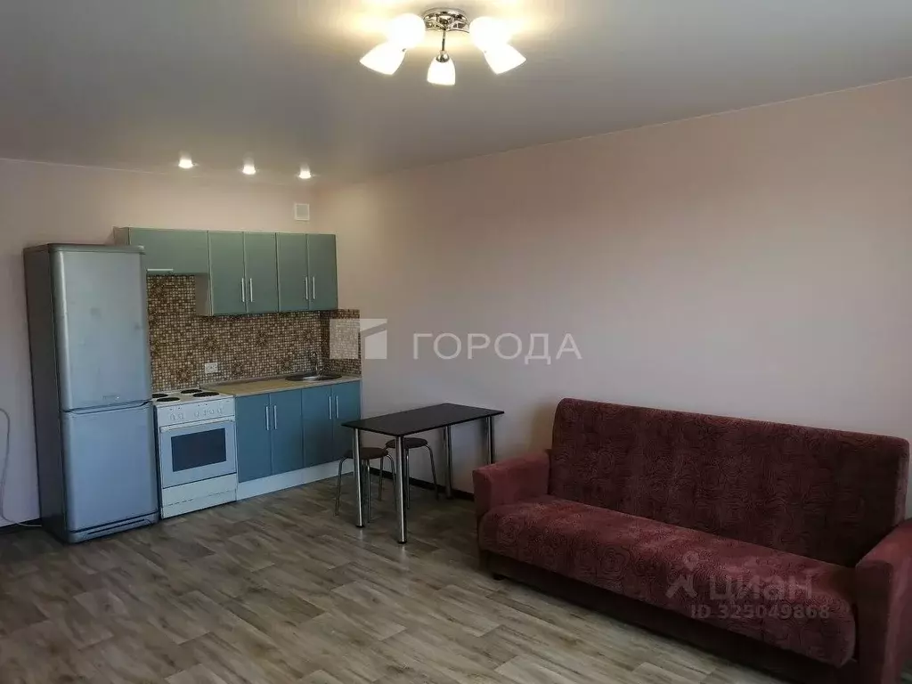 Студия Новосибирская область, Новосибирск ул. Плющихинская, 3 (33.0 м) - Фото 1