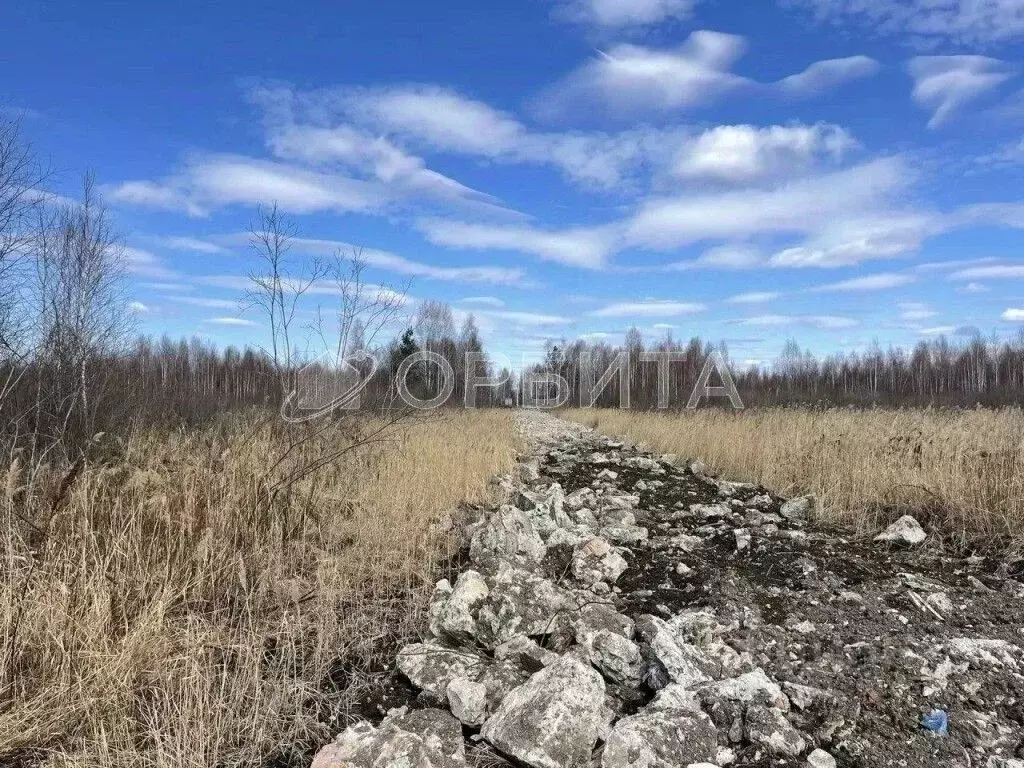 Участок в Тюменская область, Нижнетавдинский муниципальный округ, ... - Фото 2