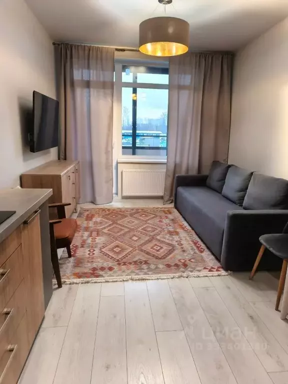 Студия Санкт-Петербург ш. Суздальское, 18к3 (25.6 м) - Фото 2