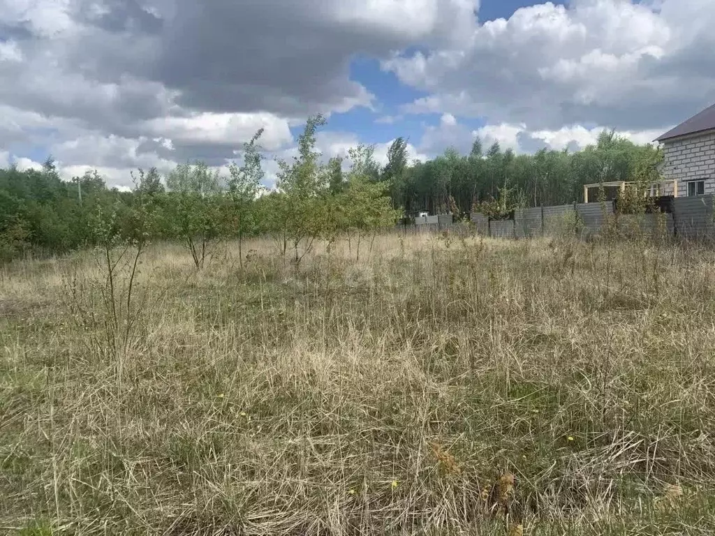 Участок в Тульская область, Тула городской округ, с. Теплое ул. ... - Фото 1