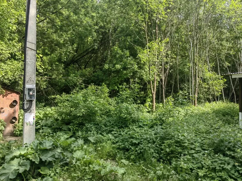 Участок в Московская область, Люберцы городской округ, Томилино пгт ... - Фото 1