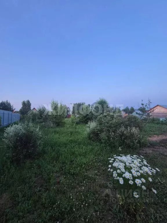 Участок в Новосибирская область, Коченево рп  (7.0 сот.) - Фото 1