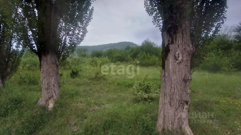Участок в Адыгея, Майкопский район, пос. Каменномостский ул. Мира ... - Фото 0