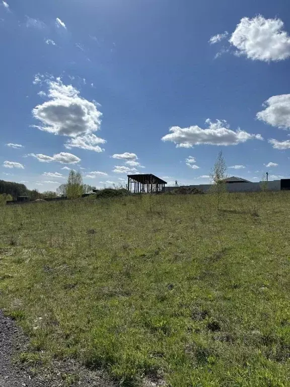 Участок в Нижегородская область, Богородский муниципальный округ, д. ... - Фото 1