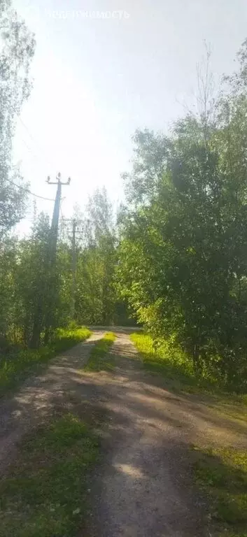 Участок в Виллозское городское поселение, территория Ассоциация ... - Фото 2