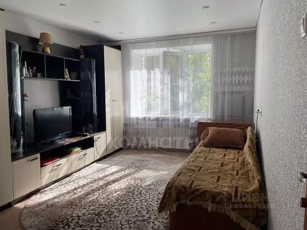 Студия Воронежская область, Воронеж ул. Хользунова, 68 (20.0 м) - Фото 2