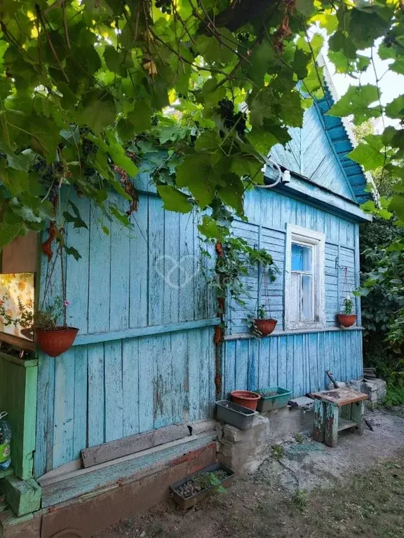 Дом в Волгоградская область, Волжский Мичуринец СНТ, ул. 7-я (12 м) - Фото 2