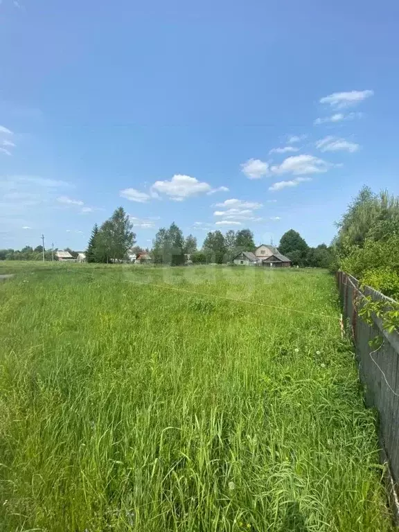 Участок в Московская область, Можайский муниципальный округ, д. Язево  ... - Фото 2