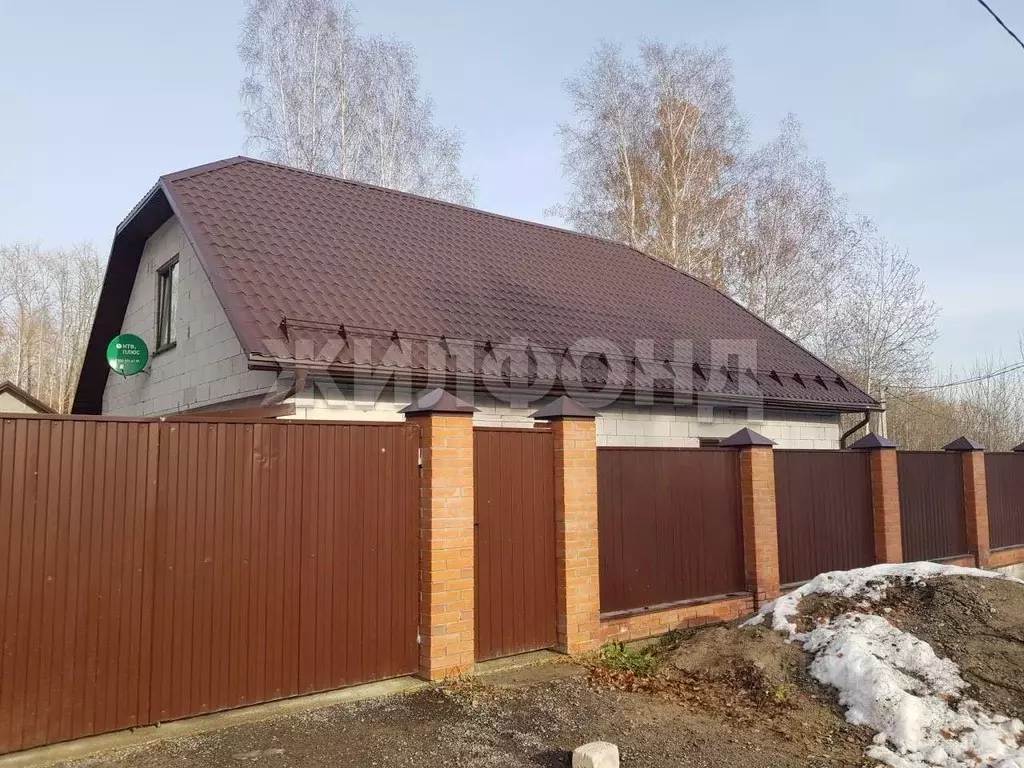 Коттедж в Новосибирская область, Новосибирский район, с. Раздольное ... - Фото 1