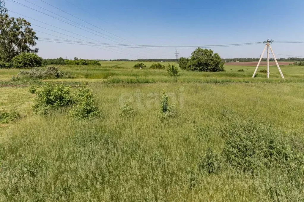 Участок в Алтайский край, Первомайский район, с. Санниково, Овощевод ... - Фото 2