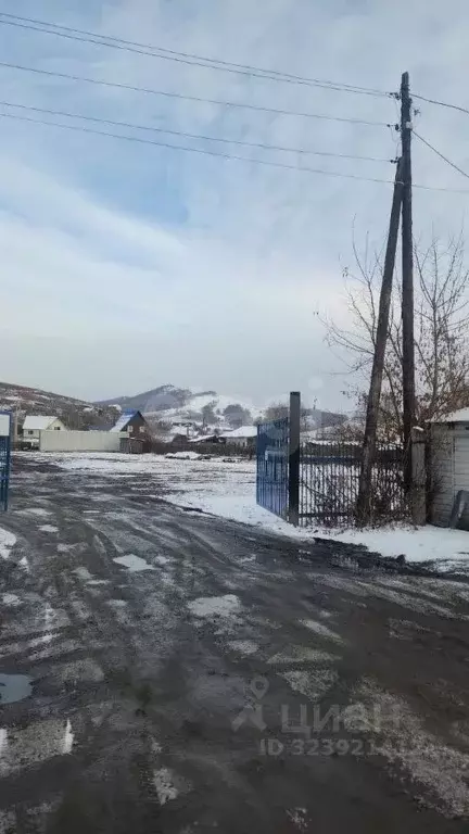 Участок в Алтай, Майминский район, пос. Алферово Центральная ул., 31А ... - Фото 0