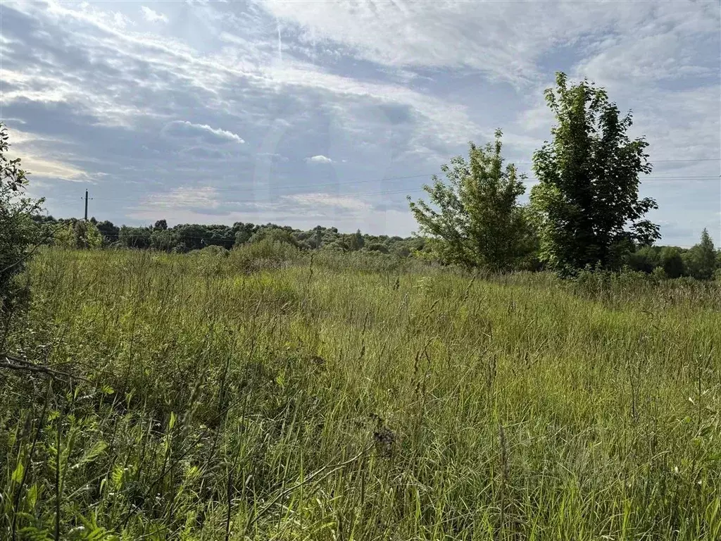 Участок в Рязанская область, Ряжский муниципальный округ, с. Дегтяное  ... - Фото 2