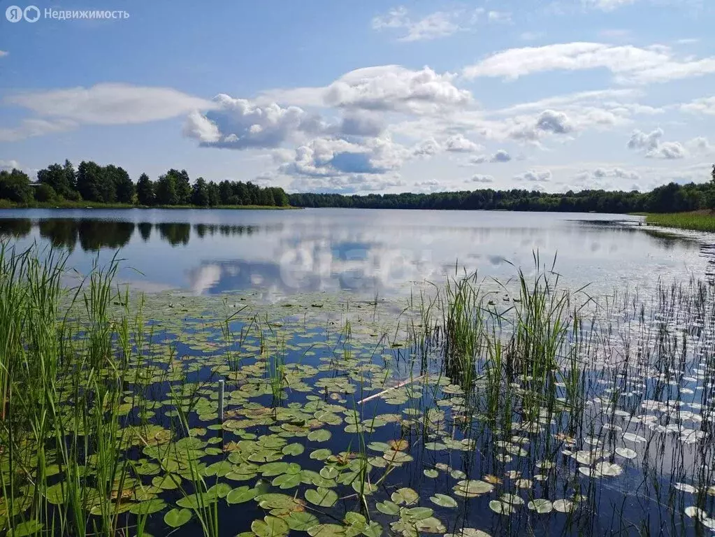 Участок в сельское поселение Оштинское, деревня Палозеро (575 м) - Фото 1