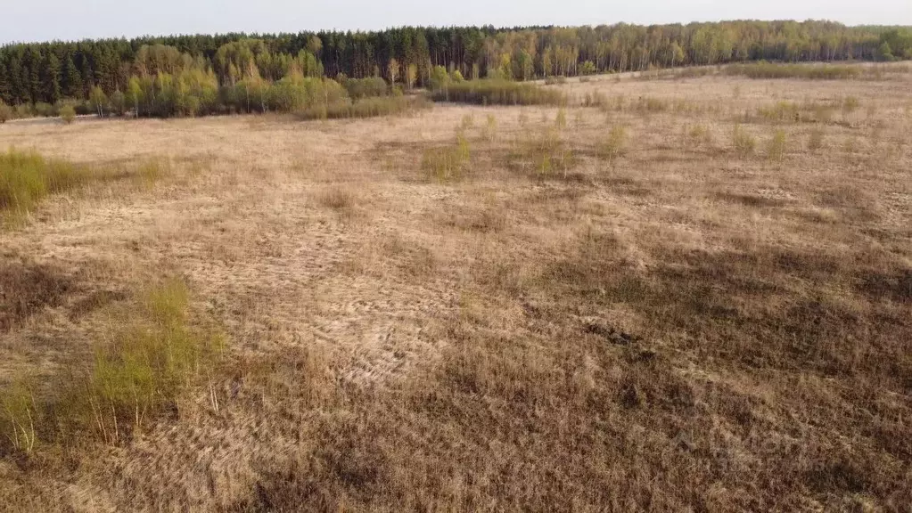 Участок в Московская область, Коломна городской округ, с. Чанки ул. ... - Фото 1