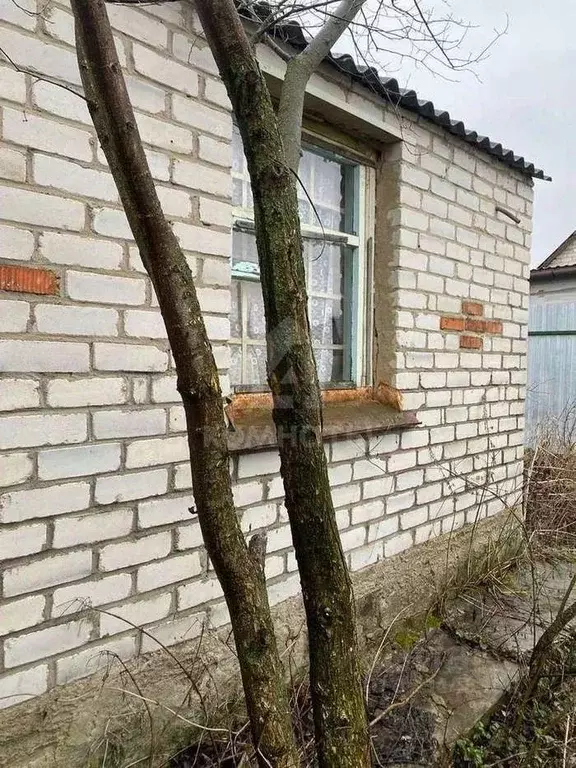 Дом в Воронежская область, Рамонский район, с. Скляево Центральная ... - Фото 2