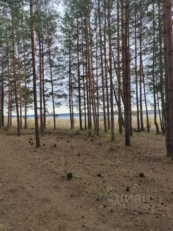 Участок в Ленинградская область, Приозерский район, Громовское с/пос, ... - Фото 0