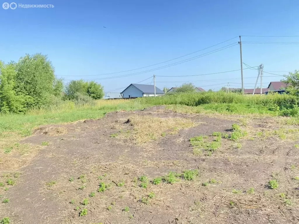 Участок в село Берёзово, переулок Чистые Пруды (10 м) - Фото 2